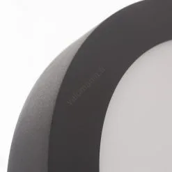 Eglo 96492 - LED-ulkokattovalaisin ARGOLIS LED/16,5W/230V IP44