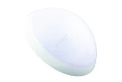 Fulgur 20994 - Kylpyhuoneen Kattovalaisin ROMANA 1xE27 / 100W / 230V IP64