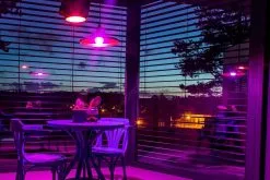 Immax NEO 07745C - SETTI 3x LED RGB Himmennettävä Polttimo E14/6W/230V 2700-6500K Wi-Fi Tuya