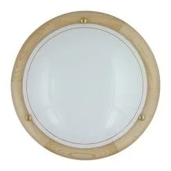 Kattovalo 1xE27/60W/230V ø30 Cm