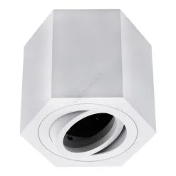 Kohdevalo ARENO 1xGU10/30W/230V Valkoinen