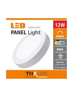 LED-kattovalaisin LED/12W/230V