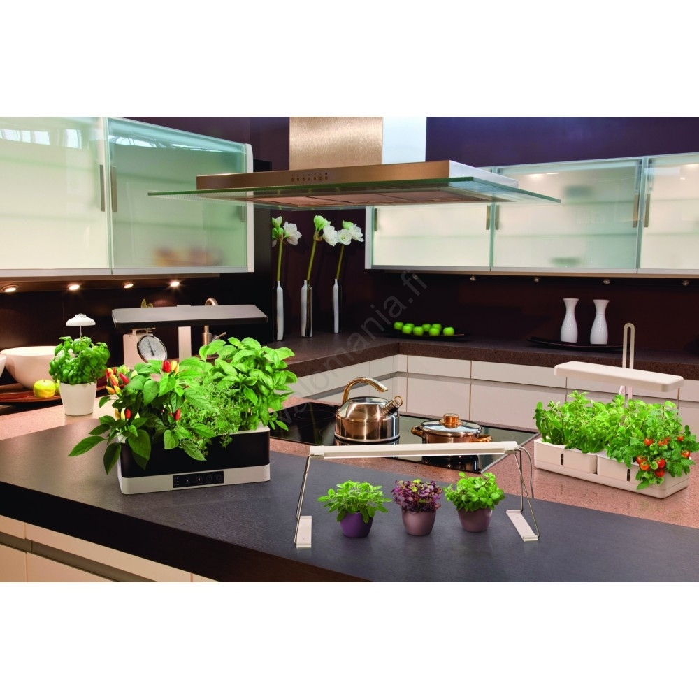 Ledvance - LED Sisätila Kasvivalaisin GARDEN LIGHT LED/5W/5V - Image 3