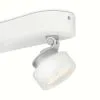 Philips 53272/31/16 - LED-kohdevalaisin RIMUS 2xLED/3W/230V