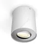 Philips - Himmennettävä LED-kohdevalo Hue PILLAR 1xGU10/5,5W
