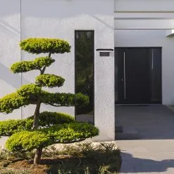 Rabalux - LED Aurinkovalo Anturilla LED/10W/3,7V IP44