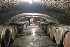 Sinclair - LED-valonheitin Viinikellariin LED/30W/230V 2700K IK10 IP66